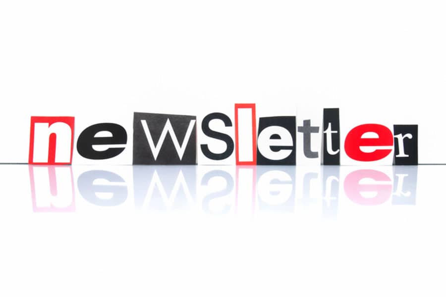Metro Detroit ESL News – Summer Newsletter